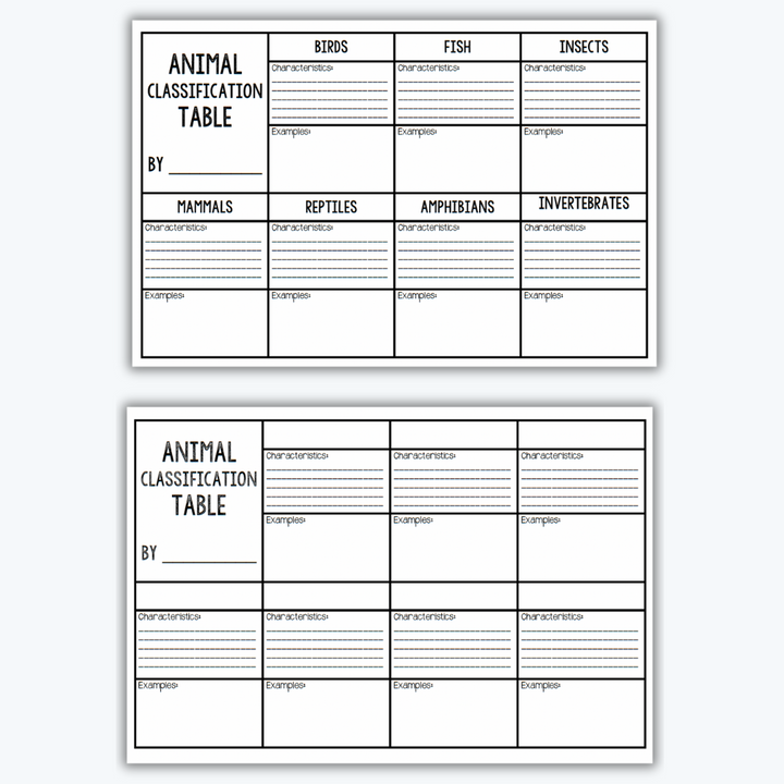 Animal classification table worksheet featuring sections for birds, fish, insects, mammals, reptiles, amphibians, and invertebrates, with space for characteristics and examples.