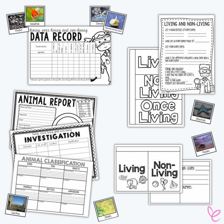  A collection of printable science worksheets for exploring living, once-living, and non-living things. Includes a data recording sheet, investigation and classification templates, and an animal report. Small labeled images such as a cactus, starfish, and ocean add visual support.