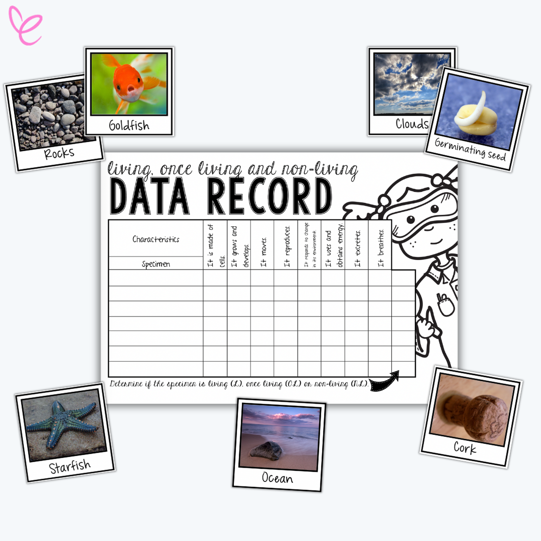 A black-and-white data record sheet for classifying living, once-living, and non-living things. Surrounding the sheet are six labeled polaroid-style images, including a goldfish, rocks, clouds, a germinating seed, a starfish, and the ocean.
